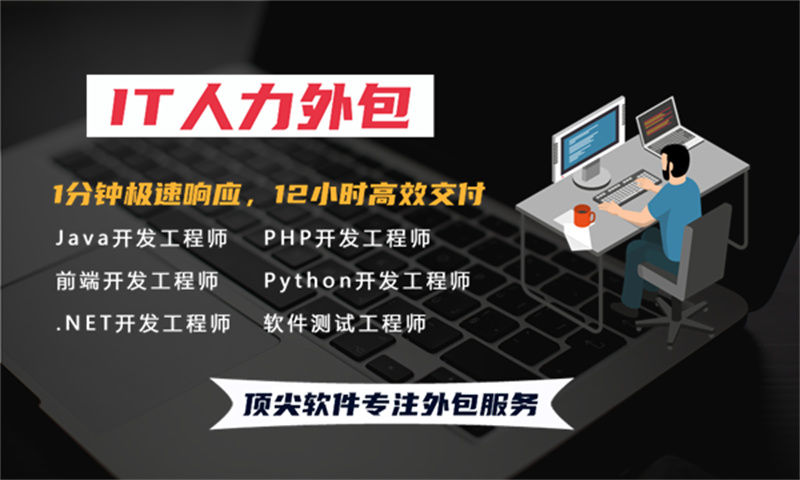 莆田企业提供高效解决方案——选择专业的VUE开发程序员IT人力外包服务