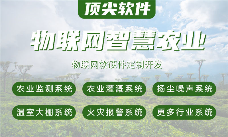 湖州物联网系统开发解决方案：多场景智能监测与管理功能计划书