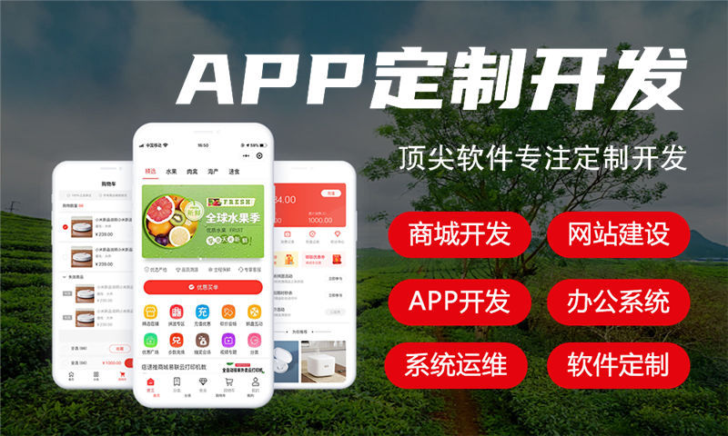 南京智能交通系统开发解决方案-专业软件定制开发与外包服务