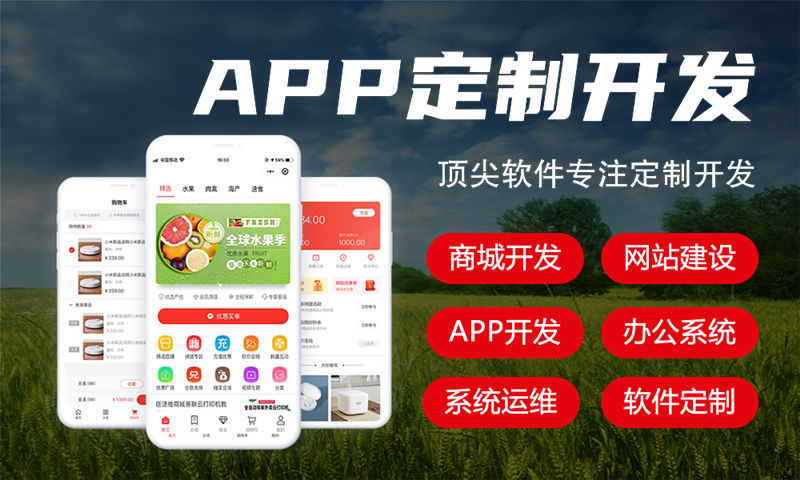 南京倍莱鲜羊奶系统（软件开发）解决方案：构建数字化转型的核心引擎