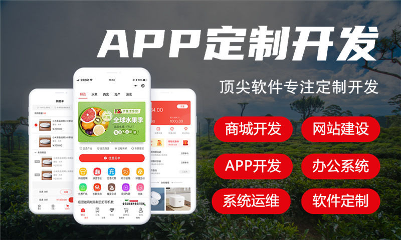 南京十二星三三复制公排商城模式软件开发解决方案