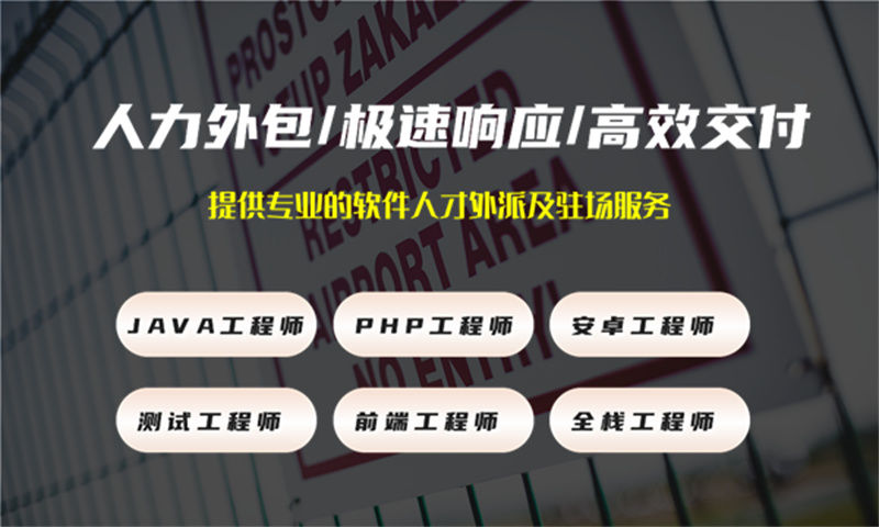 南京项目经理驻场:破解企业技术团队搭建难题,让项目交付更安心